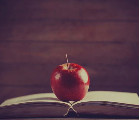 Läpileikkaus liikuntabiologian opintoihin